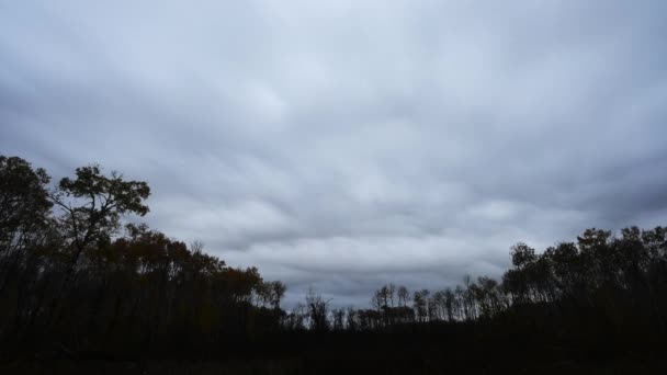 Γκρίζα Φθινοπωρινά Σύννεφα Γεμίζουν Τον Ουρανό Πάνω Από Μια Δενδροστοιχία — Αρχείο Βίντεο
