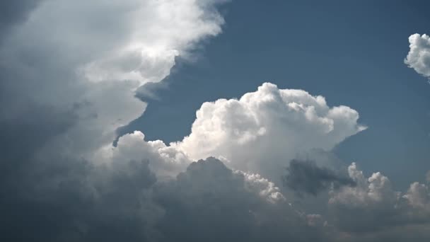 青空に美しい嵐の雲が建っている これは雲だけのクリップです — ストック動画