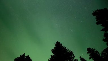 Işığın, Aurora 'nın renklendirdiği koyu yeşil bulutlara geçişi. Bulutlar yıldızlarla dolu bir gece gökyüzünde hareket ediyor. Koyu yeşil ağaçlar klipsin iki ucu boyunca oluşur..