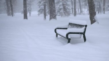 Karma ağaçlı ve metal banklı bir parka yoğun kar yağıyor. Hava soğuk ve sert görünüyor..