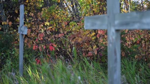 オートマルチカラーの葉は 2つのシンプルな木製の墓標の背後に風に移動します 十字架は焦点を当てていない フレームの底に沿った高い緑の草も動いています — ストック動画