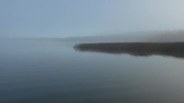 Hafif bir sis ile kaplı büyük ve sakin bir gölde huzurlu bir sabah. Kuru kahverengi sazlıklar göle doğru fışkırır ve sisin içinden uzak bir kıyı şeridi görülebilir. Su sahneyi yansıtıyor..