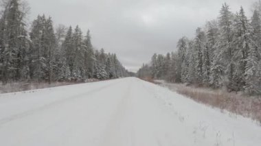 Kırsal bir yol boyunca giden bir aracın ön tarafındaki POV ve kütük dolu büyük bir tomruk kamyonuyla karşılaşmak. Yol ve ağaçlar karla kaplı..