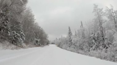 Yoğun karla kaplı bir ormanın içinden kırsal bir yol boyunca giden bir aracın ön tarafındaki POV. Ağaçlar karın ağırlığı altında eğiliyor..