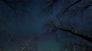 Büyük yapraksız ağaçların arkasında yıldızlı bir gece gökyüzünün birleşik hızlandırılmış videosu. Gökyüzünde birçok uydu ve uçak çizgisi var. Yıldızlar kuzey yıldızının etrafında dönerler..
