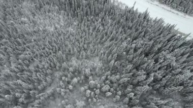 İnsansız hava aracı ilerliyor ve yoğun karla kaplı bir ormana bakıyor. İnsansız uçak karlı kırsal bir yoldan geçiyor..