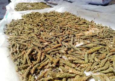 Kahverengi bir günün altında kurutan ıspanak tohumları.