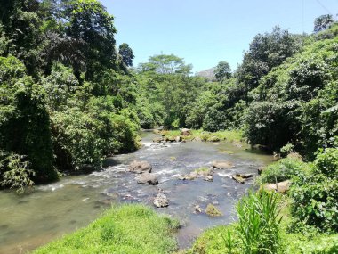 Bali 'nin Gianyar naipliğinde Tegenungan şelalesinde nehir manzarası