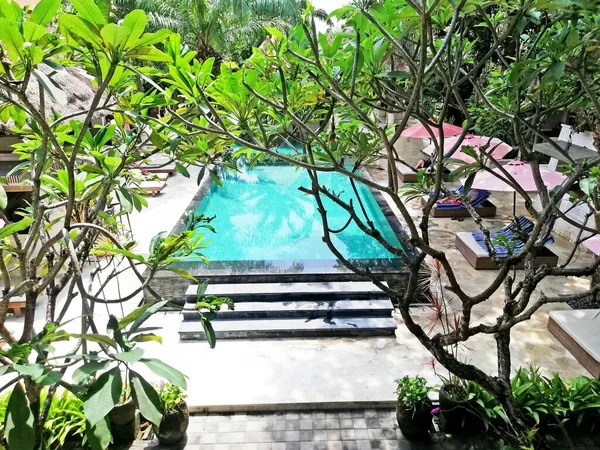 Hotel pool area with green vegetation