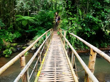 Leke Leke waterfall,at Tabanan regency of Bali