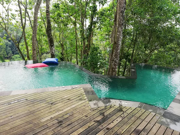 Ormanın Ortasında Yüzme Havuzu — Stok fotoğraf