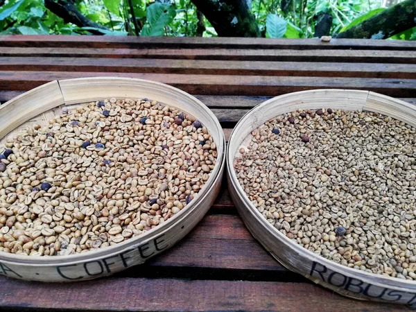 Luwak Coffee Beans Close — Stock Photo, Image