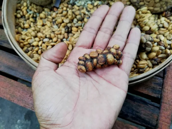 Luwak Coffee Beans Close — Stock Photo, Image