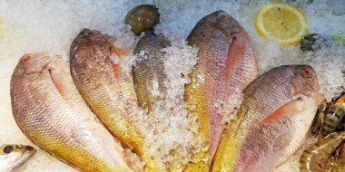 Taze balık pazarda satılır.