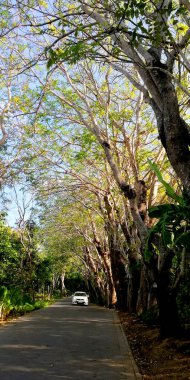 Bali, Endonezya - 20 Ağustos 2023: Uluwatu 'daki bardan Hint Okyanusu manzarası