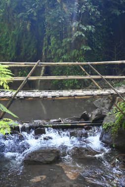 Goa Raja Şelalesi, Bali 'nin Bangli krallığında, güzel yeşil doğa manzarası ile