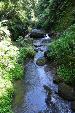 Goa Raja Şelalesi, Bali 'nin Bangli krallığında, güzel yeşil doğa manzarası ile