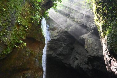 Goa Raja Şelalesi, Bali 'nin Bangli krallığında, güzel yeşil doğa manzarası ile
