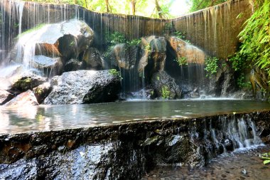 Goa Raja Şelalesi, Bali 'nin Bangli krallığında, güzel yeşil doğa manzarası ile