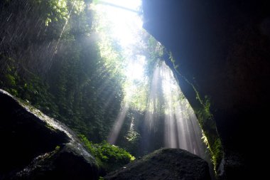 Tukad Cepung Şelalesi, Bali 'nin Bangli naipliğinde, güzel yeşil doğa manzaralı.