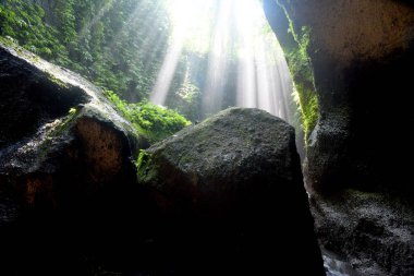 Tukad Cepung Şelalesi, Bali 'nin Bangli naipliğinde, güzel yeşil doğa manzaralı.