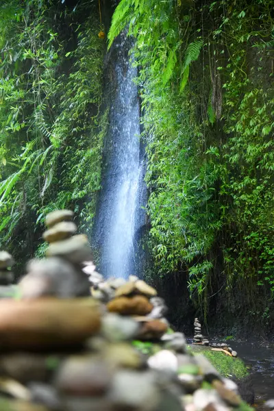 Tukad Cepung Şelalesi, Bali 'nin Bangli naipliğinde, güzel yeşil doğa manzaralı.
