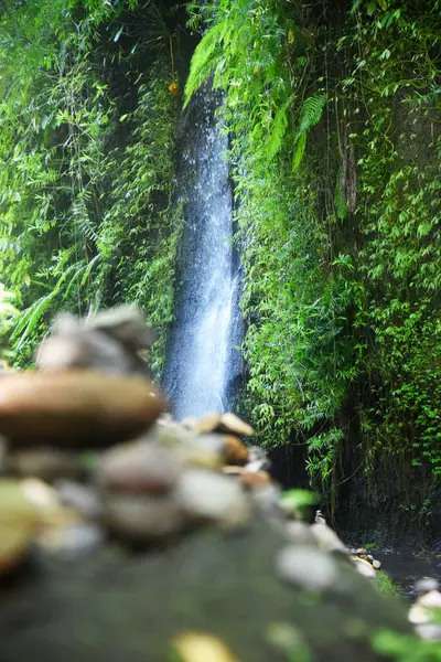 Tukad Cepung Şelalesi, Bali 'nin Bangli naipliğinde, güzel yeşil doğa manzaralı.