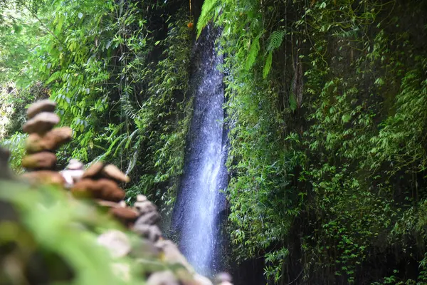 Tukad Cepung Şelalesi, Bali 'nin Bangli naipliğinde, güzel yeşil doğa manzaralı.