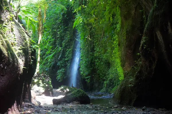Tukad Cepung Şelalesi, Bali 'nin Bangli naipliğinde, güzel yeşil doğa manzaralı.