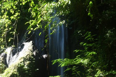 Krisik Şelalesi Bali 'nin Bangli naipliğinde, güzel doğa manzarası ile