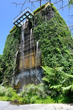 Bali Hayvanat Bahçesi Parkı 'nda, Gianyar Krallığı' nda.