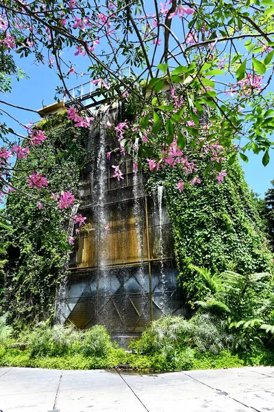 Bali Hayvanat Bahçesi Parkı 'nda, Gianyar Krallığı' nda.