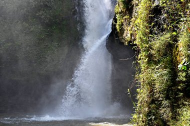 Bali Endonezya 'nın Gianyar naipliğindeki Tegenungan Şelalesi' nin berrak suları