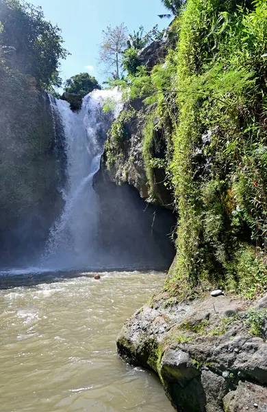 Bali Endonezya 'nın Gianyar naipliğindeki Tegenungan Şelalesi' nin berrak suları