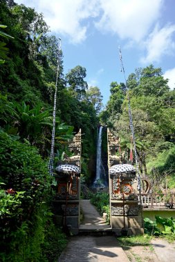 Gitgit Şelalesi ve çevresi, Bali 'nin Buleleng naipliği - Endonezya