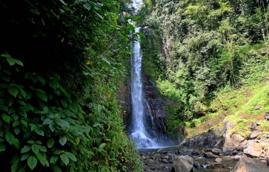 Gitgit Şelalesi ve çevresi, Bali 'nin Buleleng naipliği - Endonezya