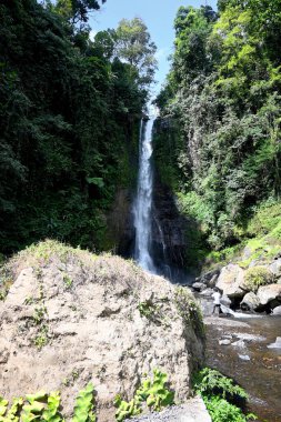 Gitgit Şelalesi ve çevresi, Bali 'nin Buleleng naipliği - Endonezya