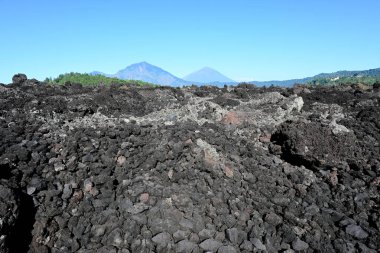 Batur volcano and surroundings in Bangli regency of Bali-Indonesia clipart