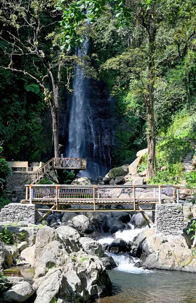 Gitgit Şelalesi ve çevresi, Bali 'nin Buleleng naipliği - Endonezya