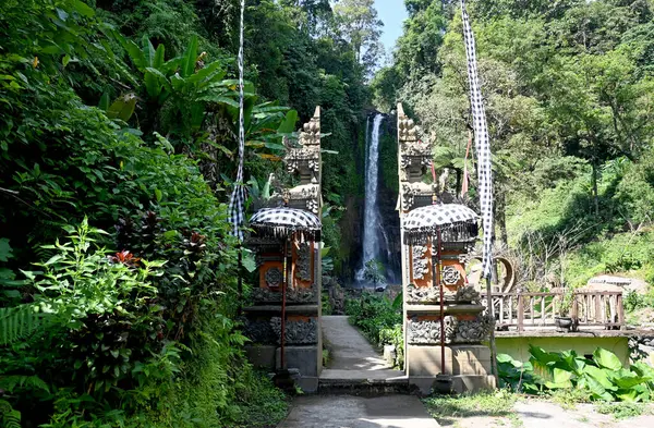 Gitgit Şelalesi ve çevresi, Bali 'nin Buleleng naipliği - Endonezya