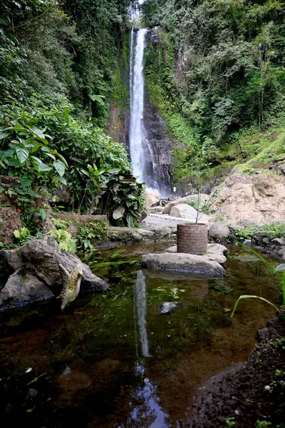 stock image Gitgit waterfall and surroundings, in Buleleng regency of Bali - Indonesia