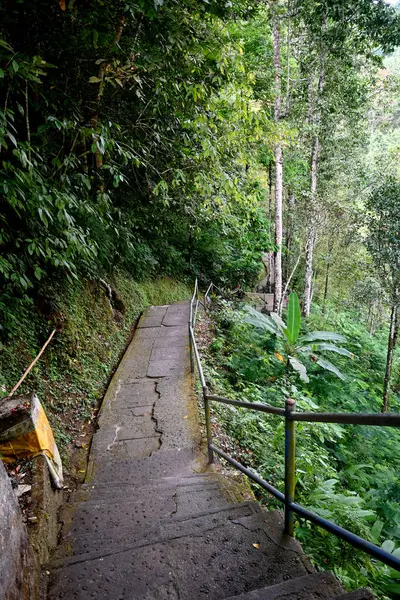 stock image Gitgit waterfall and surroundings, in Buleleng regency of Bali - Indonesia