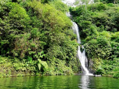 Banyu Mala şelalesi, Endonezya, Bali 'nin Buleleng naipliğinde.