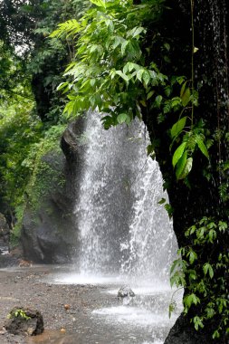 Yeh Bulan Waterfall, at Bangli regency of Bali-Indonesia clipart