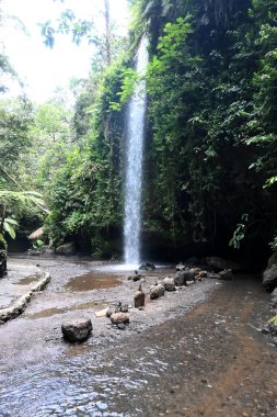 Yeh Bulan Şelalesi, Bali-Endonezya naipliğinde.