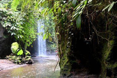 Yeh Bulan Şelalesi, Bali-Endonezya naipliğinde.