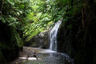 Yeh Bulan Şelalesi, Bali-Endonezya naipliğinde.