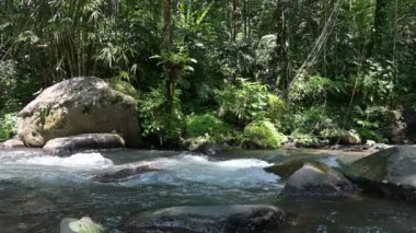Gündüz vakti, ormanın ortasında temiz ve taze suyla doğal bir nehir.