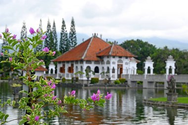 Bali 'nin Karangasem Krallığı' ndaki 