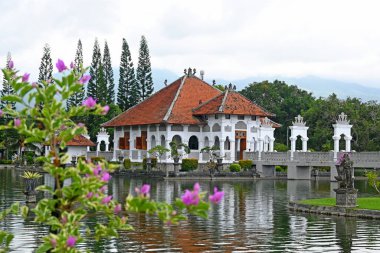 Bali, Endonezya - 30 Mart 2025: Bali 'nin Karangasem naipliğinde 